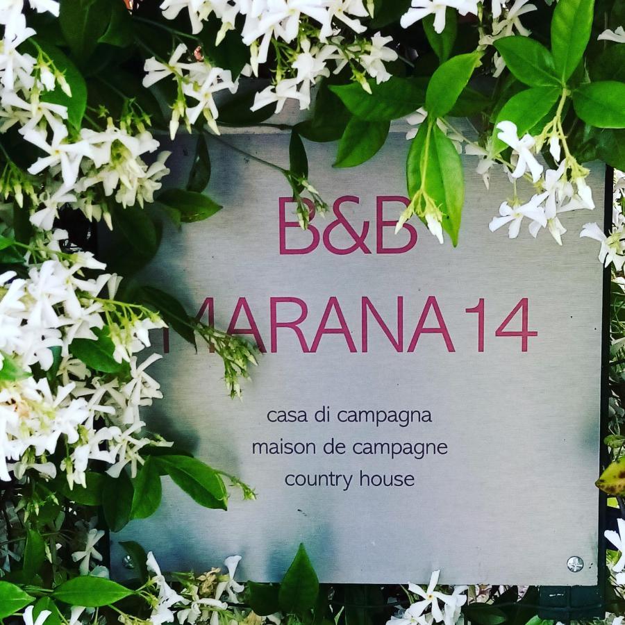 B&B Marana 14 Casa Di Campagna ボローニャ エクステリア 写真