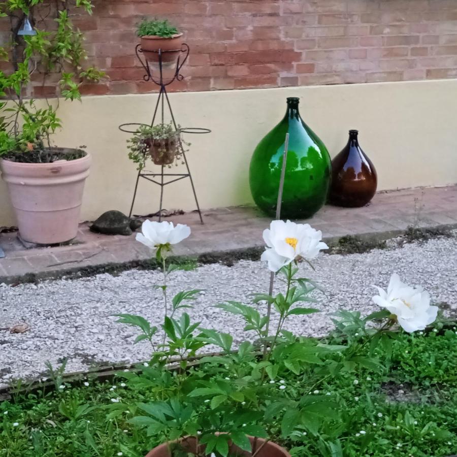 B&B Marana 14 Casa Di Campagna ボローニャ エクステリア 写真